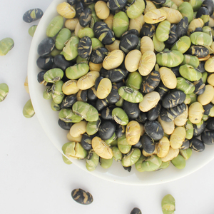 Collation saine avec Edamame, soja et soja noir Haricots mélangés salés rôtis - Product Image 2