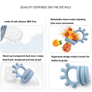 Mordedor y Alimentador de Frutas para Bebés, Libre de Ftalatos, con Flujo Lento - Product Image 1