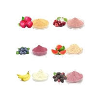 Poudre de jus de canneberge OEM de qualité supérieure, extrait de fruit acidulé pour boissons et pâtisseries, poudre soluble pour smoothies et usage culinaire