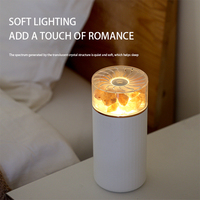 Diffuseur d'huiles essentielles Lampe au sel de l'Himalaya Sculpté à la main Lampes de roche de sel naturel Diffuseur d'arômes humidificateur