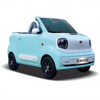 Cabriolet électrique pur chinois le plus populaire, mini voiture élégante, cabriolet léger, voiture à faible consommation d'énergie, 2 places, batterie de 13,9 kWh, 170 km