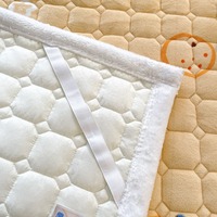 2025 hiver imprimé fruits lit matelas non tissé velours matelassé coussin pour usage domestique pour le commerce extérieur lait chaud vent couverture protecteur