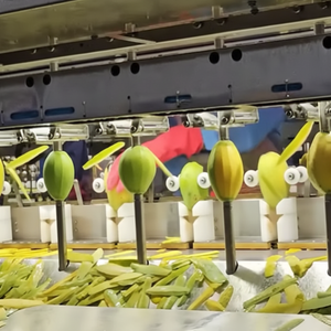 Fournisseur premium de mangue séchée douce du Vietnam offrant des snacks à mâcher naturels pour les grossistes d'exportation et les partenaires de distribution alimentaire - Product Image 1