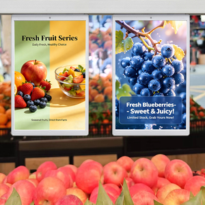 10.1 Inch Double-Sided Hanging Price Advertising Sign Retail Supermarket Lcd Electronic <b>Shelf</b> Label Wireless Digital Price Tag - Product Image 1