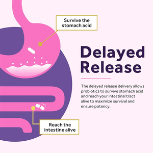 Suplemen Kapsul Campuran Serat Probiotik dan Prebiotik Wanita Rosebest Custom 50 Miliar CFU dengan Ekstrak Cranberry Organik - Product Image 2
