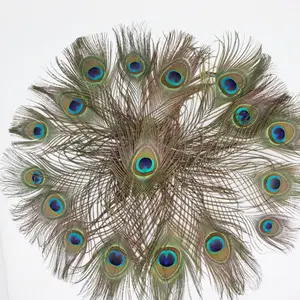 Plumas naturales de pavo real de 25-30 cm para decoración del hogar, abanico de plumas y accesorios de ropa