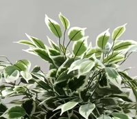 Pohon Ficus Bonsai Palsu 120cm Daun Hijau Putih Selalu Hijau Natal Paskah Rumah Kantor Ruang Tamu Ramah Lingkungan Dalam Ruangan