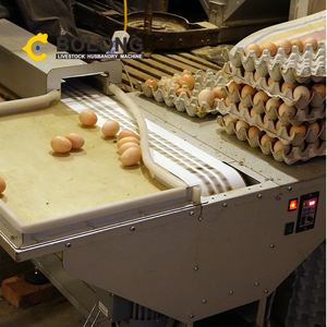 Hệ thống lồng gà bolong Máy thu trứng tự động thiết bị nuôi gà tự động - Product Image 3