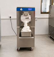Machine à fabriquer des glaces artisanales Gelato Hard Ice Cream Making Machine carpigiani Prix Machine à glaces