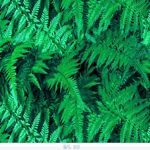 Pellicola per Stampa a Trasferimento d'Acqua con Motivo a Foglia d'Acero, <span class=keywords><strong>Film</strong></span> Idrografico Personalizzato Idrosolubile 30um-40um - Product Image 4