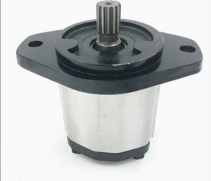 Bombas de Engranajes Hidráulicas Blince de Repuesto para la Serie NP1NN, Origen China, 0.6 kg - Product Image 4
