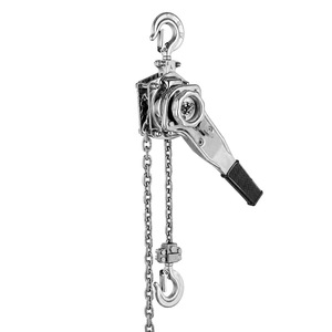 Paranco a leva in acciaio inossidabile con 2 catene e diametro di 10 mm, 6T - Product Image 1