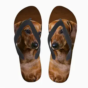 Murah Grosir Sandal Jepit Sesuai Kepribadian Indah 3D Hewan Dachshund Anjing Dicetak Remaja Perempuan Sandal Selop