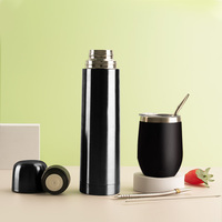 Ensemble complet de gyerba en acier inoxydable, Thermos moderne Mate gourde avec deux bombilles
