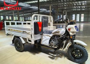 2025 gran oferta más Popular Triciclo de carga abierta motorizado KAINIU <span class=keywords><strong>Chopper</strong></span> 200cc triciclo utilitario refrigerado por agua 400kg + carga útil - Product Image 6