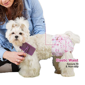 Fabricante al por mayor <span class=keywords><strong>pañales</strong></span> desechables para perros y <span class=keywords><strong>gatos</strong></span> súper absorbentes a prueba de fugas de tela suave envolturas para pantalones - Product Image 4