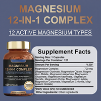 Complément alimentaire complexe de magnésium 12-en-1 OEM/ODM avec 12 types actifs de magnésium, 700 mg par portion, 120 capsules