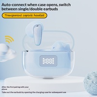 Écouteurs TWS Mini OEM ODM, véritablement sans fil, coque transparente, réduction de bruit, affichage LED