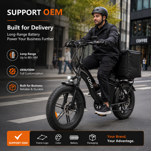 Bicicleta Eléctrica con Neumáticos Gruesos 20x4, Alcance de 200 KM, Batería de Litio de 48V 50Ah, 250W 750W de Alta Potencia, para Adultos, Personalizable - Product Image 1