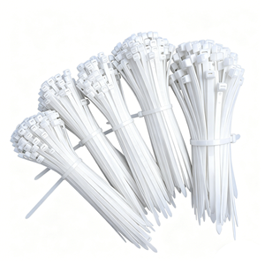 Bridas de nailon autoblocantes, Bridas de acero inoxidable, Componentes de posicionamiento autoblocantes de plástico, Abrazaderas de cable de goma - Product Image 6