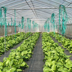 Garden Bee Farming Uv Light Conversion Greenhouse <span class=keywords><strong>Film</strong></span> Fournisseurs agricoles, <span class=keywords><strong>Film</strong></span> plastique pour serre - Product Image 1