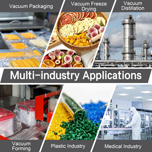 औद्योगिक अनुप्रयोगों के लिए ZBW-250 तेल-मुक्त तीन-चरण मोटर वैक्यूम पंप 250 m/h 5.5-6.6kw कम शोर 81db ओम - Product Image 5