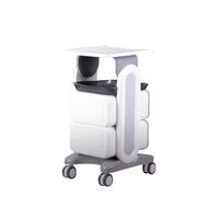 Chariot de maquillage portable fabriqué en usine, chariot de beauté à roulettes avec tiroir, chariot de clinique, chariot cosmétique