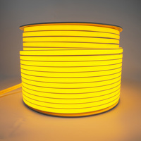 Guirlande lumineuse LED de jardin Jiuzhu Outdoor 12V IP67 10-10 avec bords en silicone, Wi-Fi et variateur de lumière 2200K-6000K