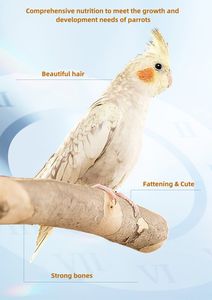 עוף עוף תוכי bird budgie חרוטי מזון מיוחד דגנים מעורבבים קטנים - Product Image 4