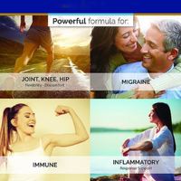 Échantillon Gratuit d'Extrait de Boswellia OEM ODM Sans OGM Absorption Supérieure Zéro Additifs Synthétiques Articulations Genoux Hanches Migraine Immunité