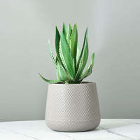 Support moderne d'extérieur bon marché pot de fleur décoratif vente écologique jardinières en plastique PE fleurs de jardin plantes vertes cactus grand pot