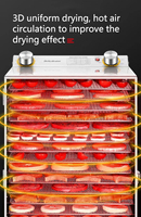 Commerciële Roestvrijstalen Fruitdroger Dehydratatiemachine Met Trays