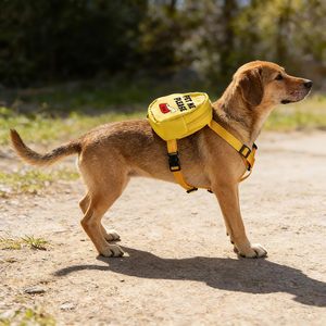 Cartoon Solid Polyester <b>Pet</b> <b>Carrier</b> <b>Backpack</b> with Traction Rope and Zipper Fashionable Outdoor Travel Schoolbag for Dogs Cats - Product Image 5