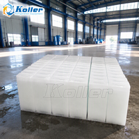 Machine à glace commerciale à évaporation directe de qualité supérieure 5 tonnes Koller DK50