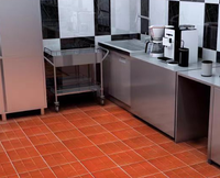 Azulejos rojos respetuosos con el medio ambiente a prueba de humedad 300x300 Azulejos de porcelana antideslizante Baño Restaurante Azulejos de porcelana mate