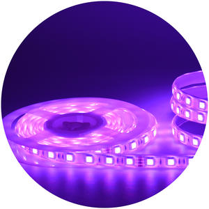 <span class=keywords><strong>Ruban</strong></span> <span class=keywords><strong>ruban</strong></span> flexible <span class=keywords><strong>5m</strong></span> rouleau smd5050 60leds/m flexible IP67 IP68 extérieur étanche rvb <span class=keywords><strong>led</strong></span> bande lumière rvb bande - Product Image 2