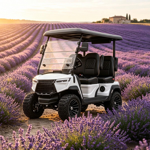 Carrito de Transporte Eléctrico para Parques de Diversiones, Carrito de Golf, Buggy de Golf, Suspensión de Doble Horquilla para Uso en Carreteras No Públicas, DOT CE EEC - Product Image 1