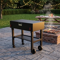 Barbecue portable pliable en acier inoxydable pour le camping en plein air, barbecue au charbon de bois