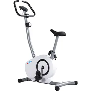 Indoor Bike Fitness Cardio Rechtop Fiets Hot Sale Magnetische Weerstand Hometrainer Mb1502 Met 5Kg Vliegwiel