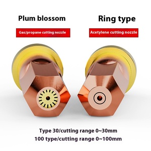 Fornitura di saldatura per saldatura a fiore di prugna Standard nazionale ugello per taglio a Gas liquefatto a forma di anello - Product Image 4