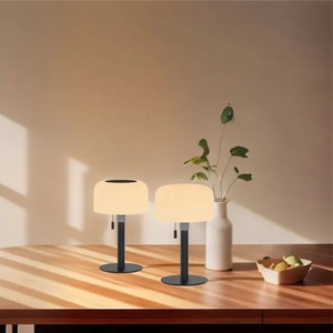 Decorative Table Solar Light - Product Image 5