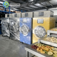 Hoogwaardige mini-vriesdroger voor kleine schaal voedselverwerking van fruit, groenten en snacks