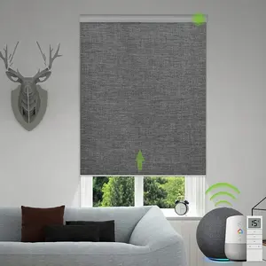 Roller Shades Blinds Home Curtain Automated Automatic Alexa Window Shade Motor Electric 100% Blackout Roller Blinds Fabric For Window Blind