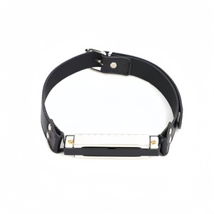 Accessoires de sexe SM amusant Harmonica bouche Plug Couple taquineries flirter nouveau Unique reliure bouche balle formation Sex Toy - Product Image 6