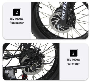 Vélo électrique <span class=keywords><strong>cargo</strong></span> à double <span class=keywords><strong>moteur</strong></span> 2000w, vente en gros - Product Image 5