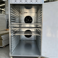 Automatische voedseldroger met elektrische verwarming en heteluchtcirculatie voor fruit en groenten