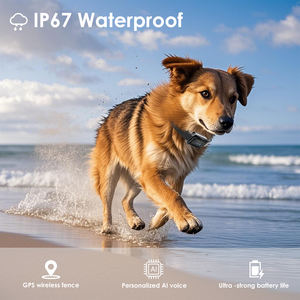 Extérieur Portable lPX6 étanche GPS sans fil chien clôture choc électrique collier d'entraînement chien confinement Svstem rayon 280 FT - Product Image 4