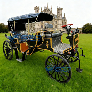 Nouvelles Voitures de Mariage Victoria Électriques de Luxe pour Touristes, Type Calèche, à Vendre - Product Image 2
