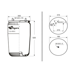 W01-M58-8601 de remorque Semi camion suspension pneumatique 4881NP02 ressort pneumatique BPW36K - Product Image 3