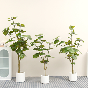 <span class=keywords><strong>Planta</strong></span> <span class=keywords><strong>de</strong></span> plástico artificial <span class=keywords><strong>de</strong></span> árbol <span class=keywords><strong>de</strong></span> hierro brasileño <span class=keywords><strong>de</strong></span> diseño moderno para decoraciones <span class=keywords><strong>de</strong></span> fiesta - Product Image 6